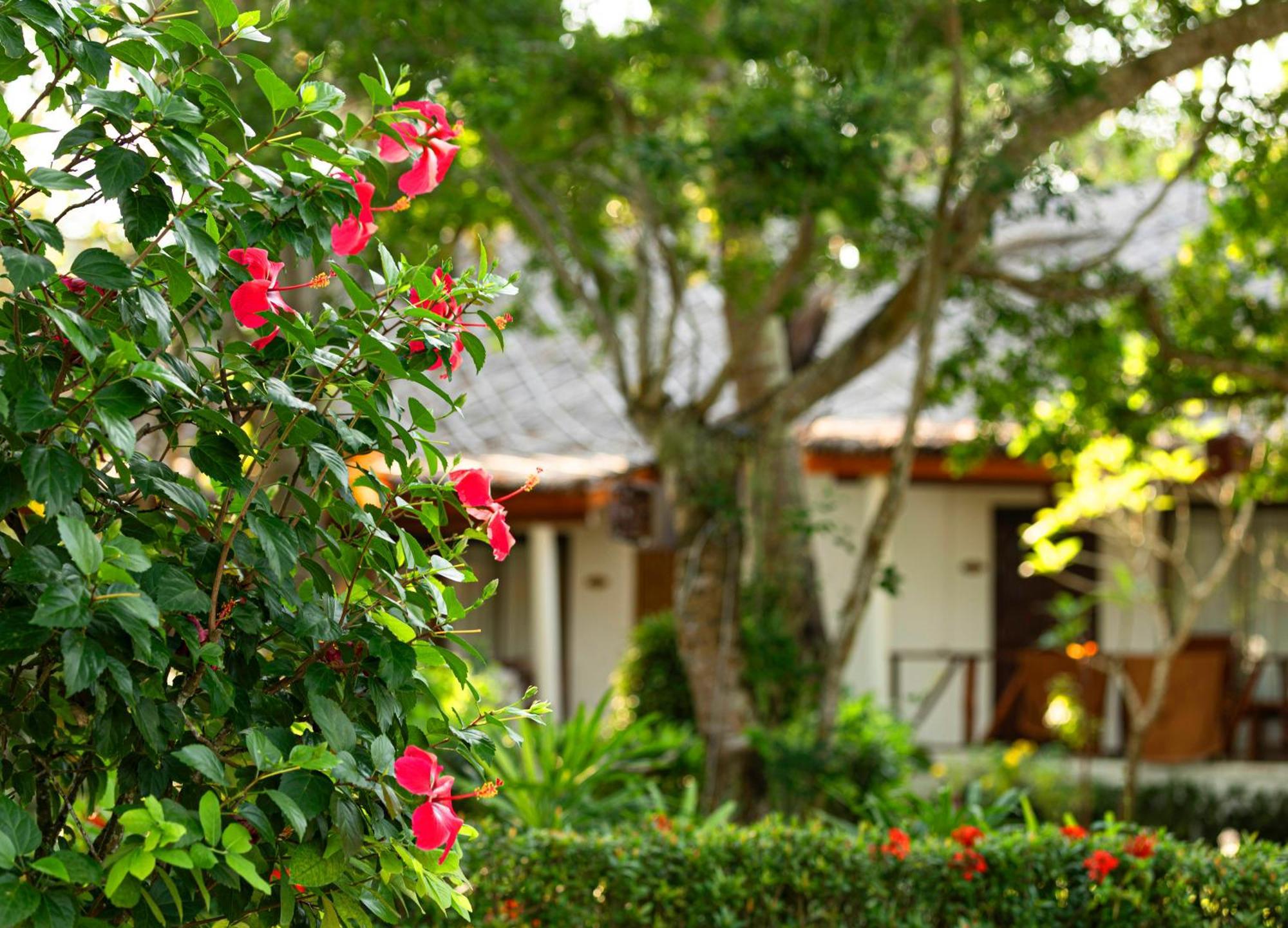 Lipa Lodge Beach Resort Lipa Noi Exterior foto